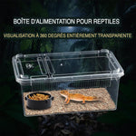 Terrarium Déplacement – Boîte Élevage Empilable Reptiles - VIVARIUM PRO