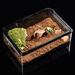 Boîte d'Élevage Reptiles PC Robuste – Terrarium Transparent - VIVARIUM PRO