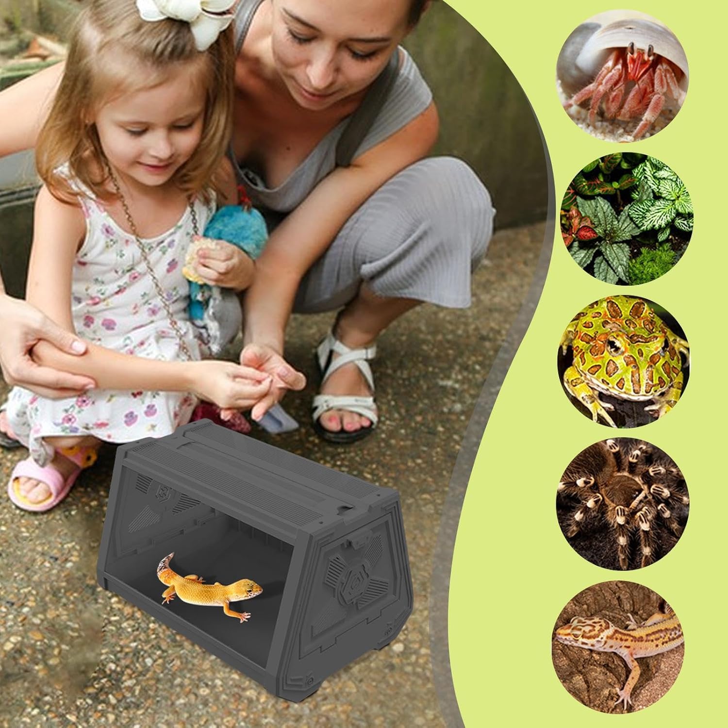 Terrarium Compact Blanc – Gecko