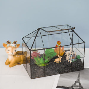 Terrarium Verre Maison – Serre Plantes Succulentes Laiton - VIVARIUM PRO