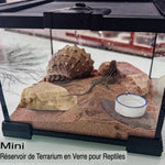 Terrarium d'Alimentation Reptiles – Double Porte Magnétique - VIVARIUM PRO