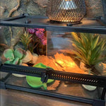 Terrarium Reptiles Verre Trempé avec Double Porte Sécurisée - VIVARIUM PRO