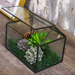 Terrarium Maison Géométrique Noir – Couvercle Basculant Grande Serre - VIVARIUM PRO