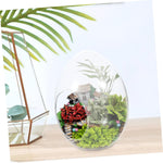 Terrarium Plante Verre Borosilicate Transparent - VIVARIUM PRO