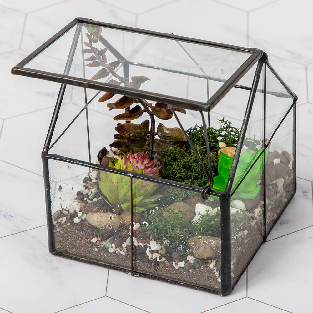 Terrarium Maison Verre Laiton Porte – Plantes Succulentes DIY - VIVARIUM PRO