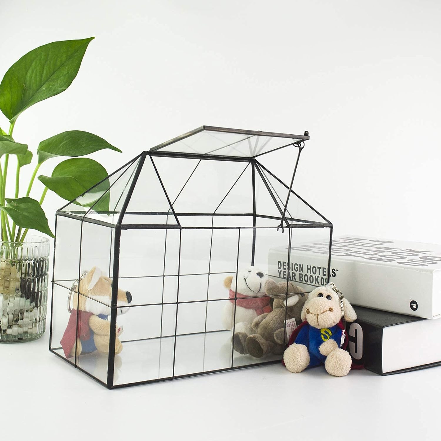 Terrarium Verre Maison – Serre Plantes Succulentes Laiton - VIVARIUM PRO