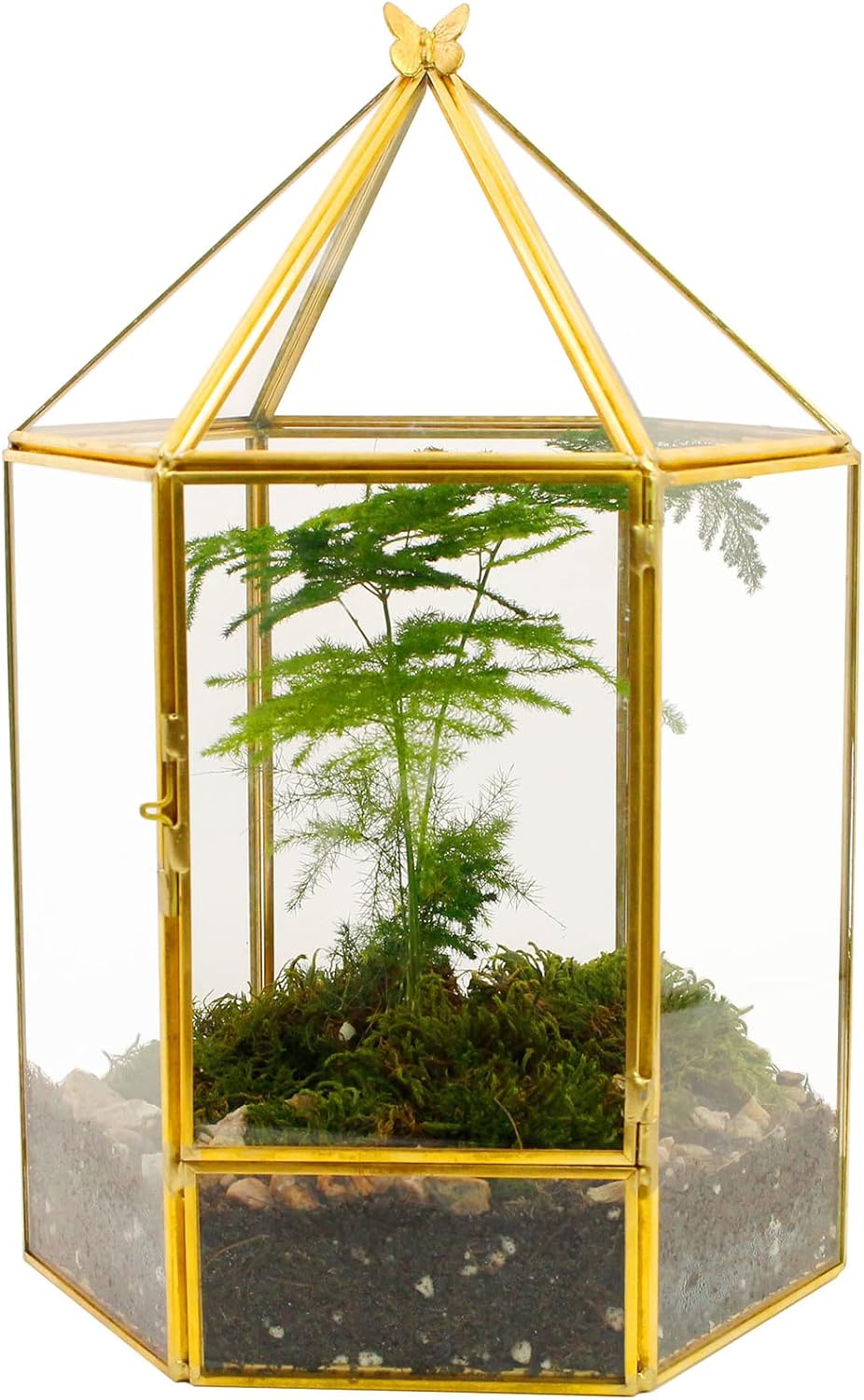 Terrarium Hexagonal Doré Charnière – Grande Serre Géométrique - VIVARIUM PRO