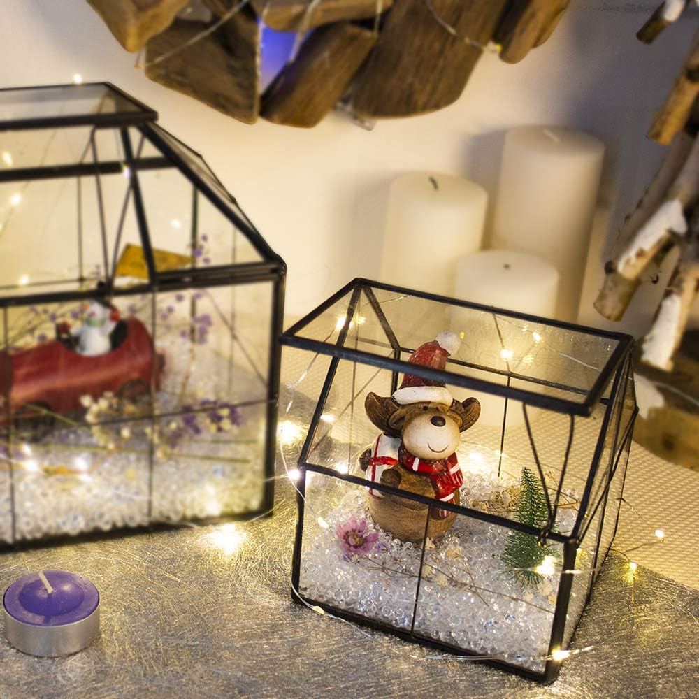 Terrarium Maison Verre Laiton Porte – Plantes Succulentes DIY - VIVARIUM PRO