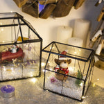 Terrarium Maison Verre Laiton Porte – Plantes Succulentes DIY - VIVARIUM PRO