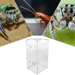 Terrarium Acrylique 360 Degrés