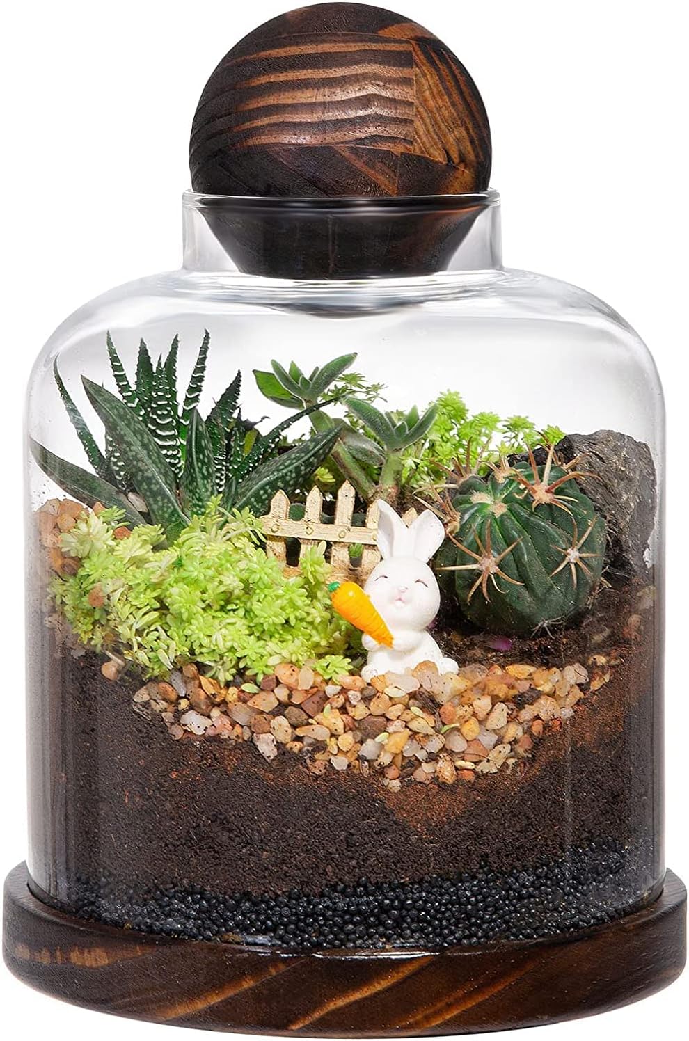 Terrarium Verre Couvercle Base Bois – Grand DIY Écosystème - VIVARIUM PRO