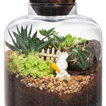 Terrarium Verre Couvercle Base Bois – Grand DIY Écosystème - VIVARIUM PRO