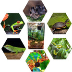 Terrarium Acrylique Ultra-Transparent pour Reptiles et Invertébrés - VIVARIUM PRO