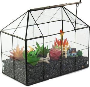 Terrarium Verre Maison – Serre Plantes Succulentes Laiton - VIVARIUM PRO