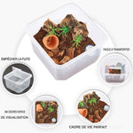 Petite Boîte d'Élevage Carrée Reptiles – Plastique ABS Transparent - VIVARIUM PRO