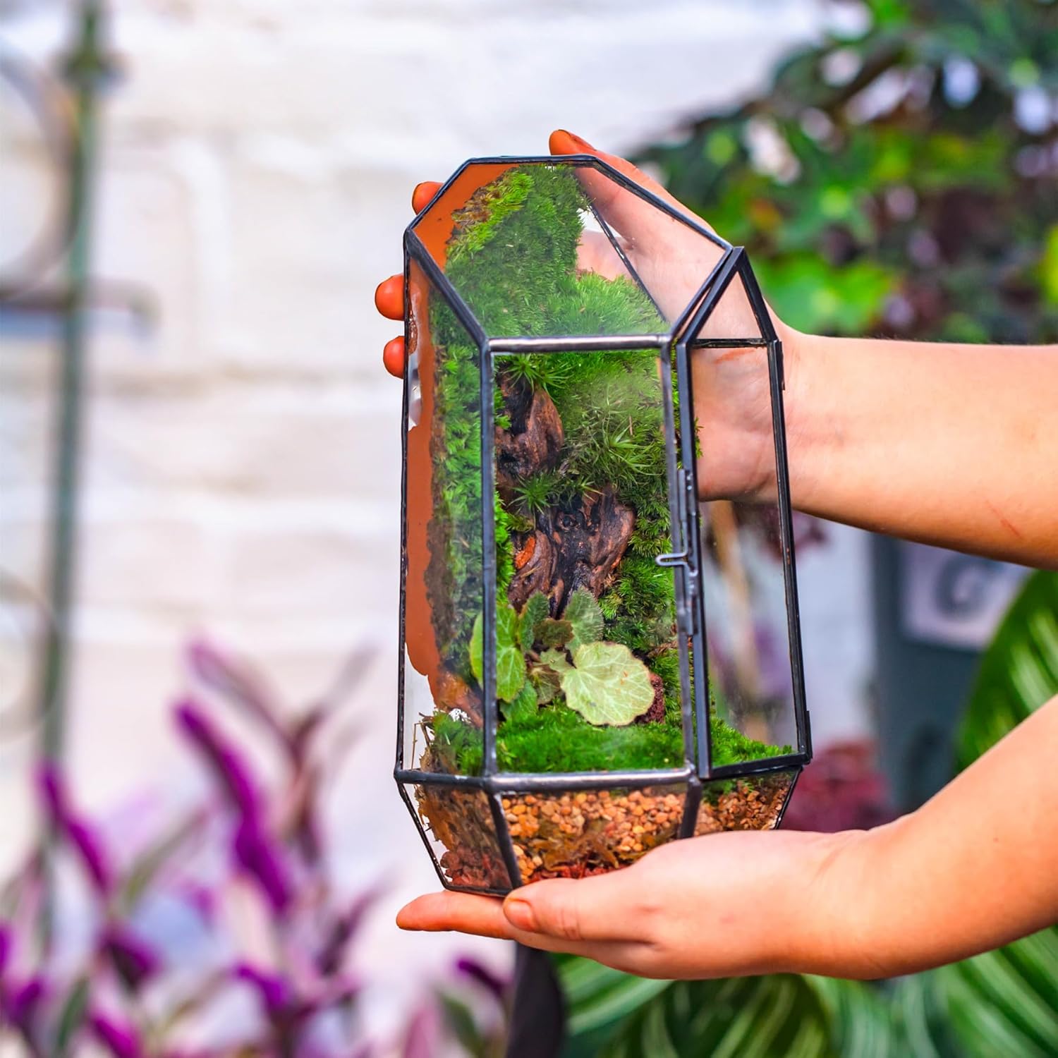 Terrarium Cube Verre Cuivre – Plantes Grasses Design - VIVARIUM PRO