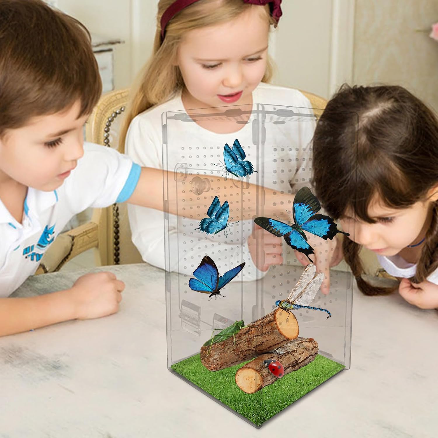 Terrarium Acrylique 360 Degrés