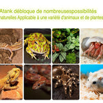 Terrarium Compact Blanc – Gecko