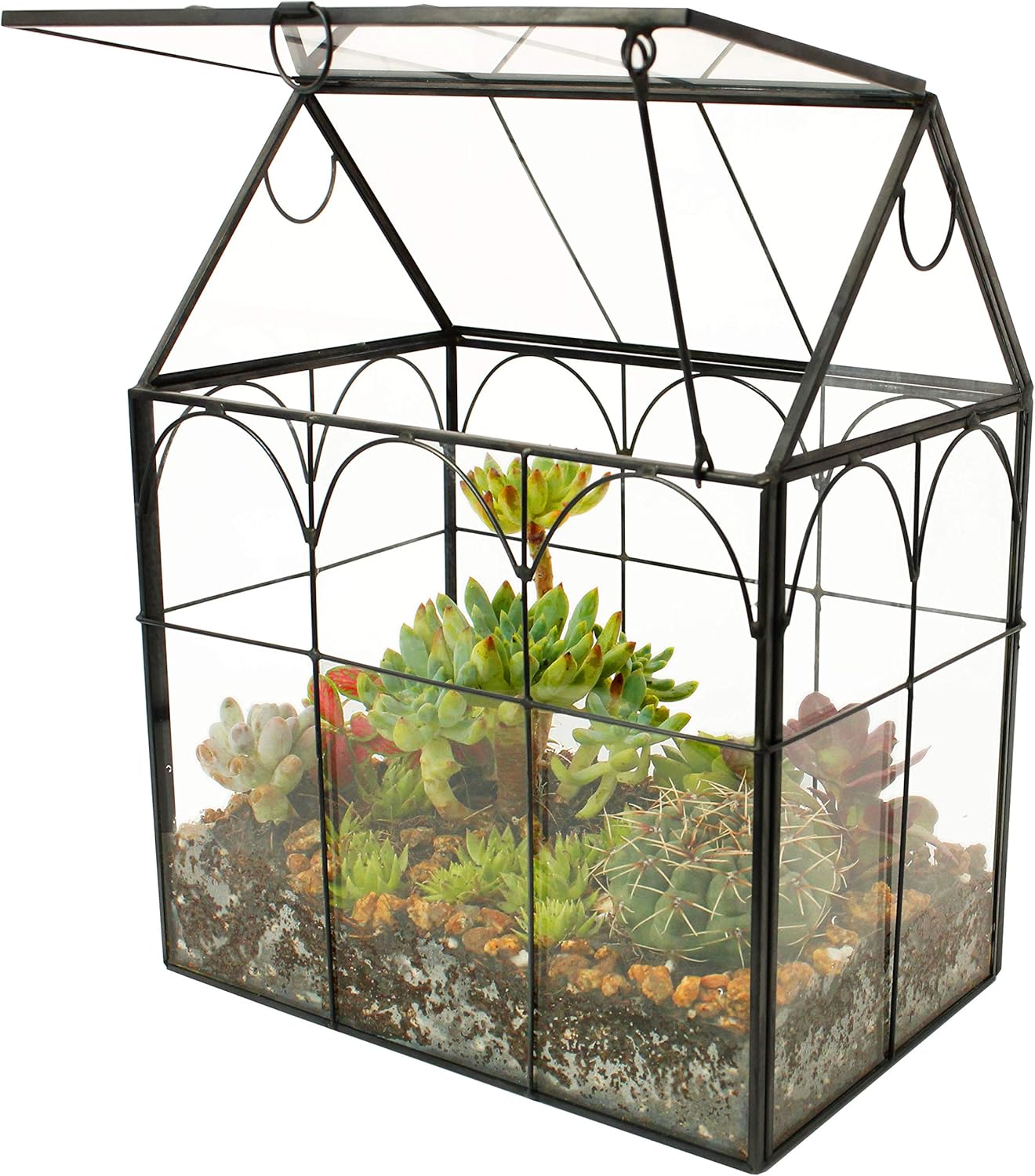 Terrarium Maison Fait Main Couvercle Pivotant – Grande Serre - VIVARIUM PRO