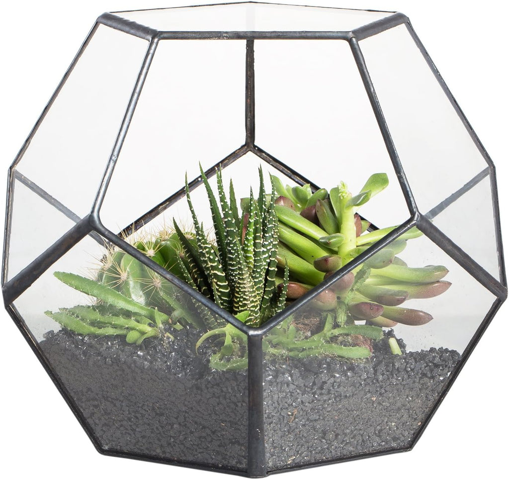 Terrarium Dodécaèdre Géométrique Noir – Plaques Pentagonales Verre - VIVARIUM PRO
