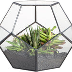 Terrarium Dodécaèdre Géométrique Noir – Plaques Pentagonales Verre - VIVARIUM PRO
