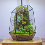 Terrarium Fermé Géométrique Porte – Insectes Cactus Verre - VIVARIUM PRO