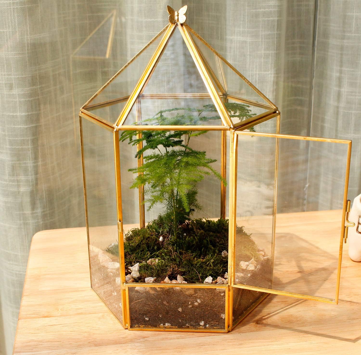 Terrarium Hexagonal Doré Charnière – Grande Serre Géométrique - VIVARIUM PRO