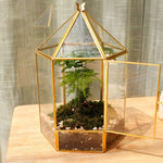 Terrarium Hexagonal Doré Charnière – Grande Serre Géométrique - VIVARIUM PRO