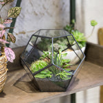 Terrarium Dodécaèdre Géométrique Noir – Plaques Pentagonales Verre - VIVARIUM PRO