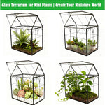Terrarium Maison Fait Main Couvercle Pivotant – Grande Serre - VIVARIUM PRO