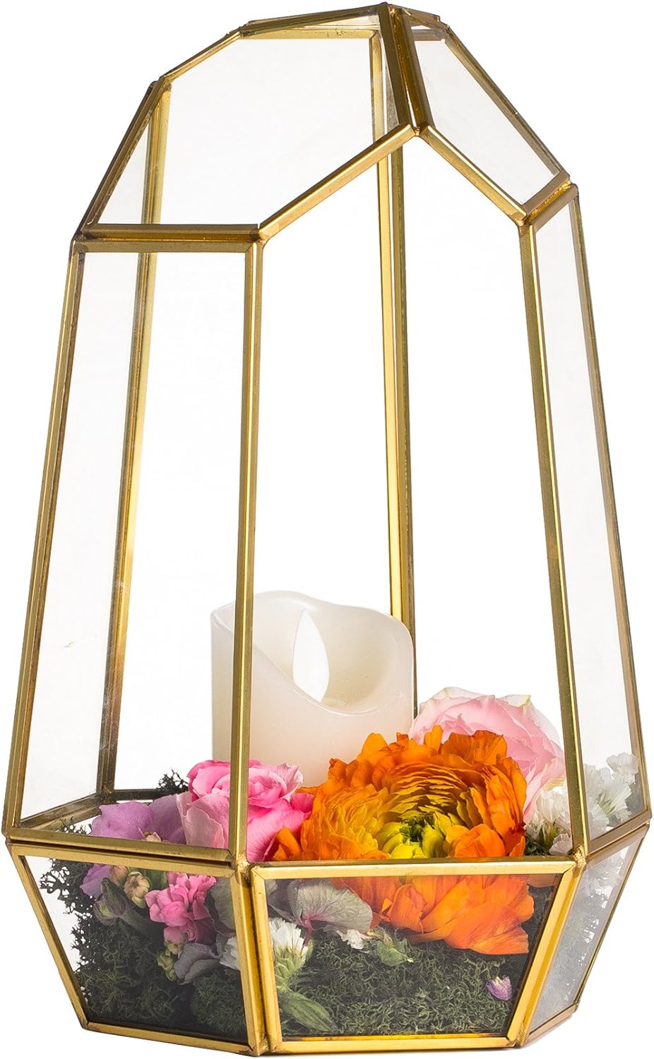 Terrarium Géométrique Doré – Fait Main Plantes Grasses - VIVARIUM PRO