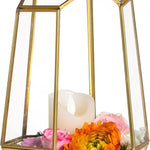 Terrarium Géométrique Doré – Fait Main Plantes Grasses - VIVARIUM PRO