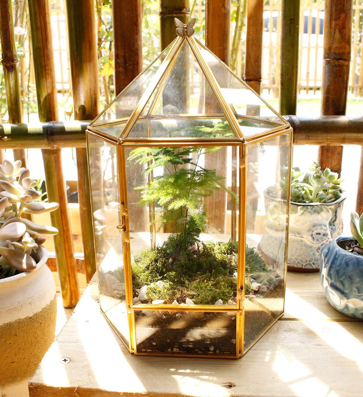 Terrarium Hexagonal Doré Charnière – Grande Serre Géométrique - VIVARIUM PRO
