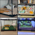 Terrarium d'Alimentation Reptiles – Double Porte Magnétique - VIVARIUM PRO