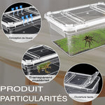 Terrarium Déplacement – Boîte Élevage Empilable Reptiles - VIVARIUM PRO