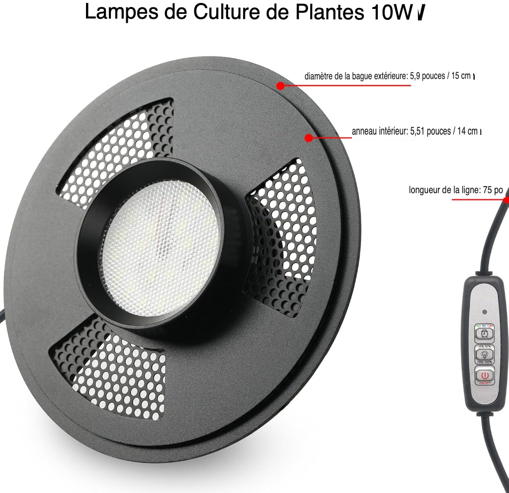 Terrarium Plante avec Éclairage LED et Régulation Humidité