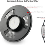 Terrarium Plante avec Éclairage LED et Régulation Humidité