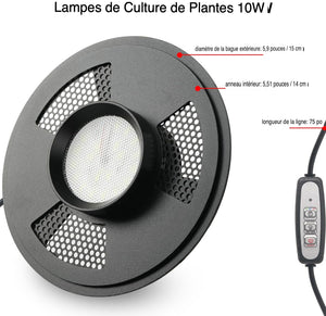 Terrarium Plante avec Éclairage LED et Régulation Humidité