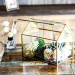 Terrarium Maison Géométrique Doré – Grande Serre Couvercle Basculant - VIVARIUM PRO
