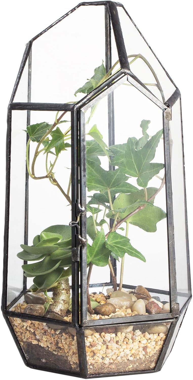 Terrarium Cube Verre Cuivre – Plantes Grasses Design - VIVARIUM PRO