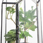 Terrarium Cube Verre Cuivre – Plantes Grasses Design - VIVARIUM PRO