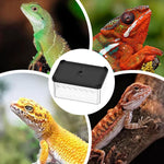 Terrarium d'Alimentation Reptiles – Double Porte Magnétique - VIVARIUM PRO