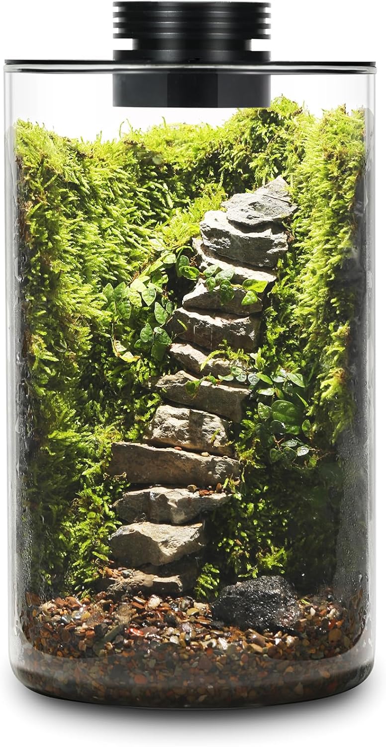 Terrarium Plante avec Éclairage LED et Régulation Humidité
