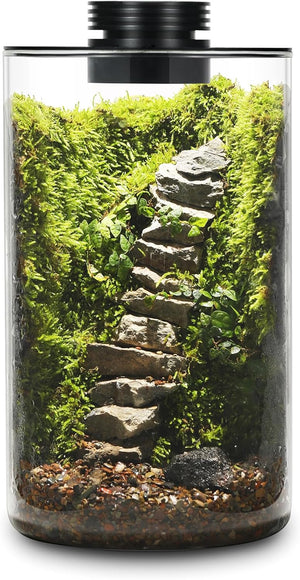 Terrarium Plante avec Éclairage LED et Régulation Humidité