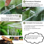 Terrarium Acrylique – Boîte d'Élevage Reptiles Transparent - VIVARIUM PRO