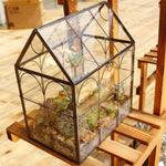 Terrarium Maison Fait Main Couvercle Pivotant – Grande Serre - VIVARIUM PRO