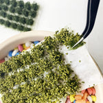 Lot de 56 Touffes d'Herbe Ultra-Réalistes - VIVARIUM PRO