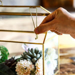 Terrarium Maison Géométrique Doré – Grande Serre Couvercle Basculant - VIVARIUM PRO