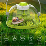 Maison d'Élevage pour Escargots et Reptiles – Boîte d'Alimentation ABS/PC Transparent avec Poignée - VIVARIUM PRO