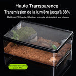 Boîte d'Élevage Reptiles PC Robuste – Terrarium Transparent - VIVARIUM PRO